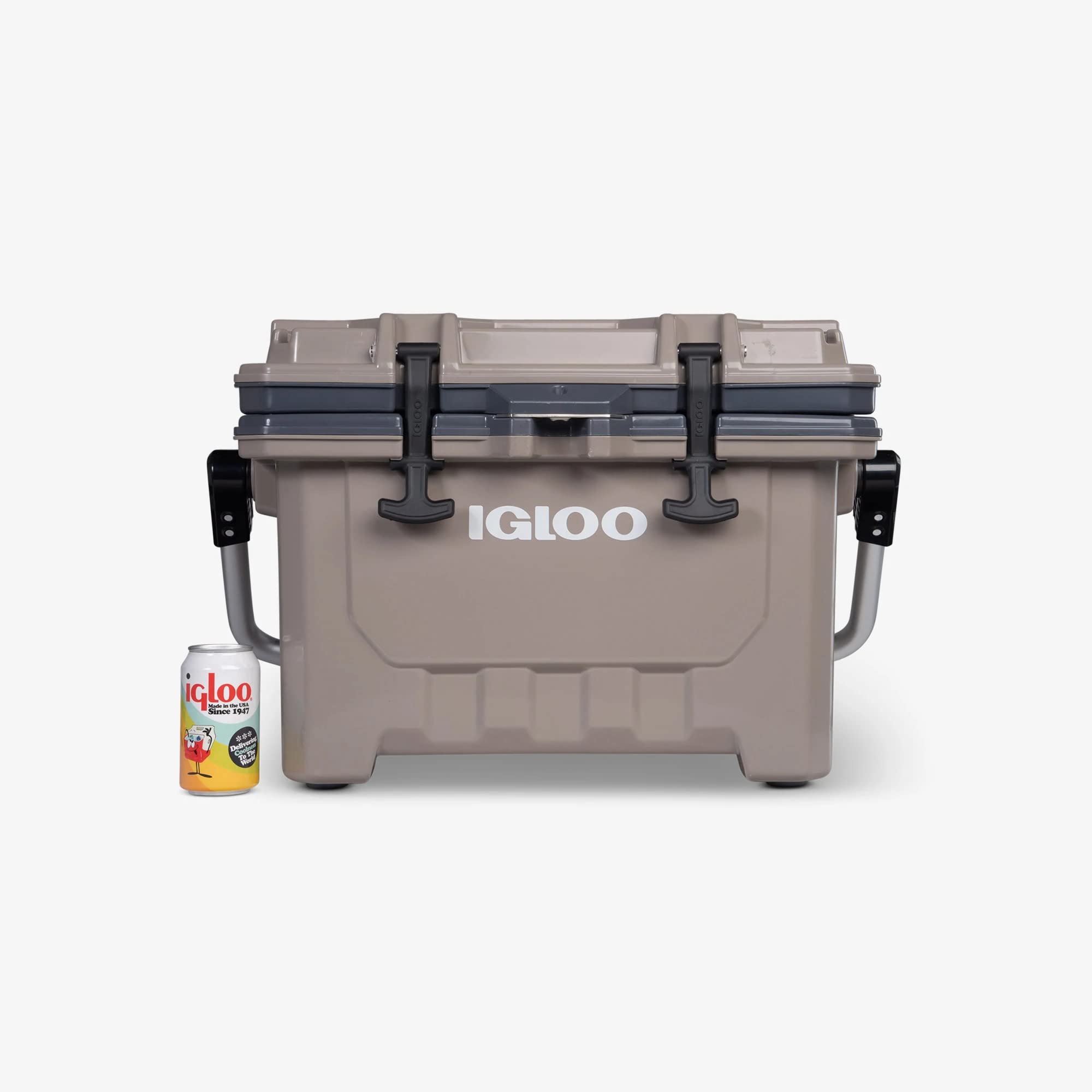 Amazon | Igloo(イグルー) クーラーボックス IMX 24 (約22L